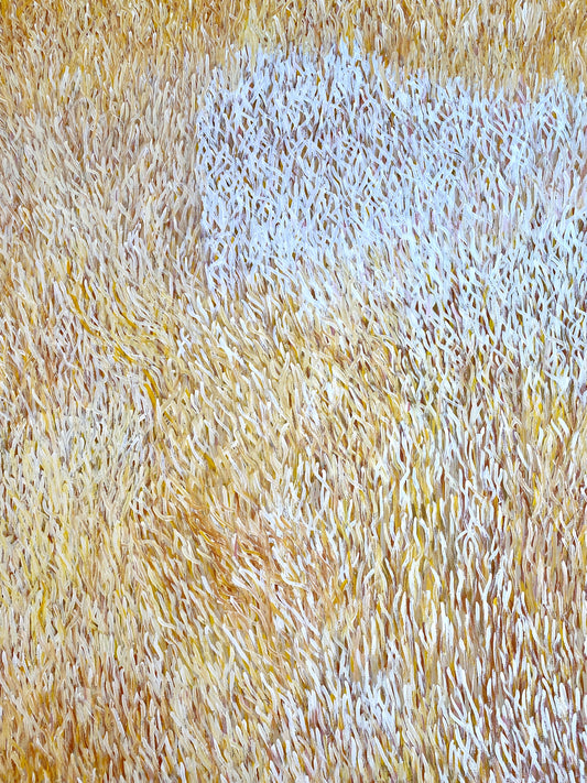 Naidoc Week Artist Exhibition x White Story