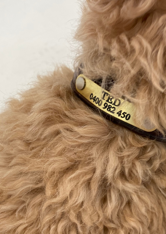 Dog Brass Tag - O/S